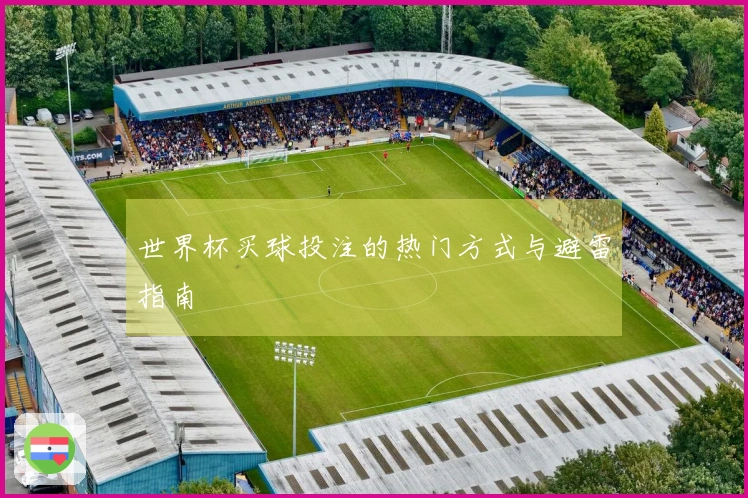 世界杯买球投注的热门方式与避雷指南