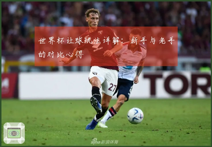 世界杯让球玩法详解：新手与老手的对比心得