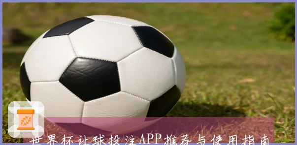 世界杯让球投注APP推荐与使用指南