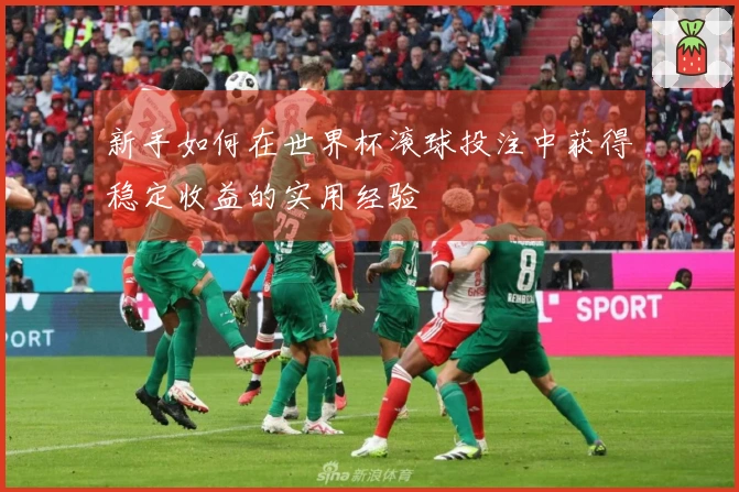 新手如何在世界杯滚球投注中获得稳定收益的实用经验