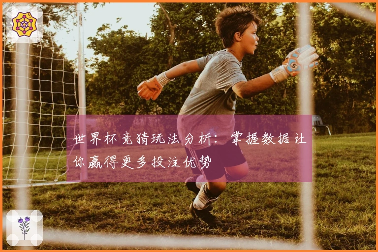 世界杯竞猜玩法分析：掌握数据让你赢得更多投注优势