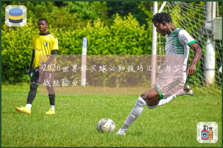 2026世界杯买球必知技巧汇总与实战经验分享