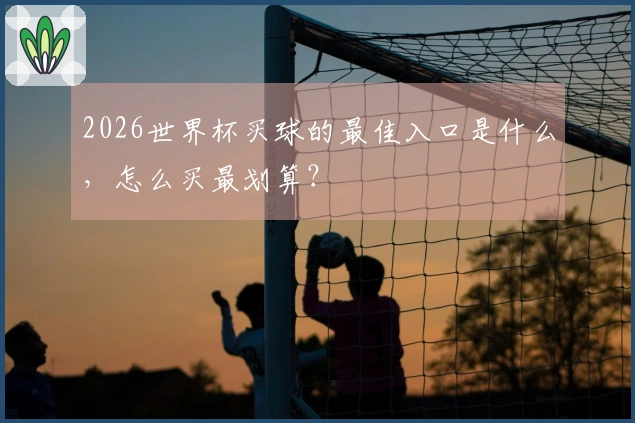 2026世界杯买球的最佳入口是什么，怎么买最划算？