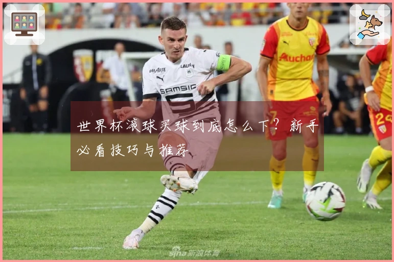 世界杯滚球买球到底怎么下？新手必看技巧与推荐