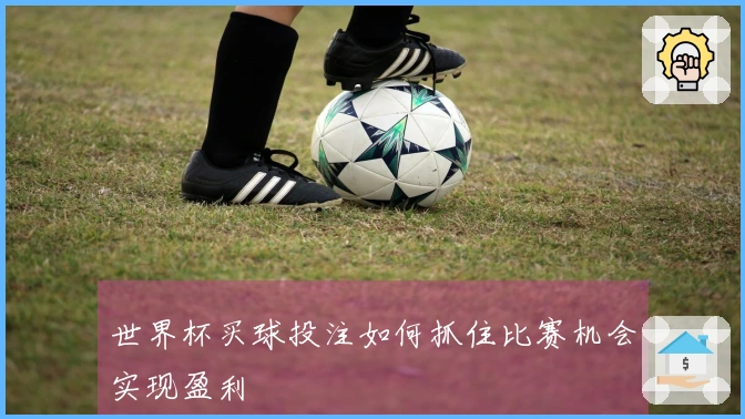 世界杯买球投注如何抓住比赛机会实现盈利