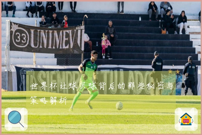 世界杯让球买球背后的那些秘密与策略解析