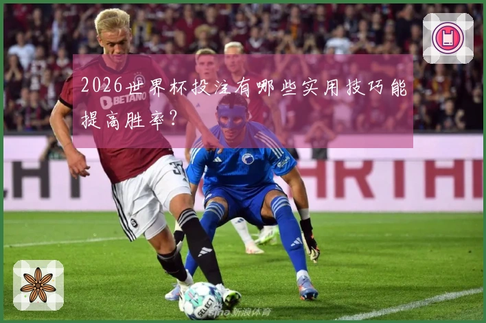 2026世界杯投注有哪些实用技巧能提高胜率？