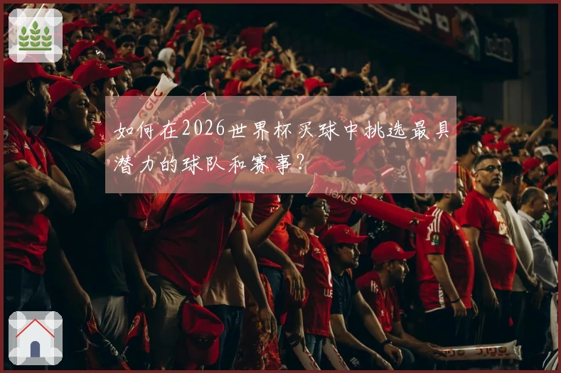 如何在2026世界杯买球中挑选最具潜力的球队和赛事？
