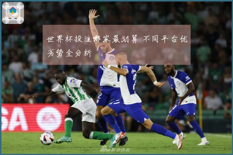 世界杯投注哪家最划算 不同平台优劣势全分析