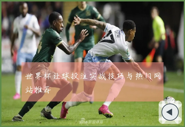 世界杯让球投注实战技巧与热门网站推荐