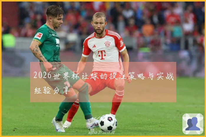 2026世界杯让球的投注策略与实战经验分享