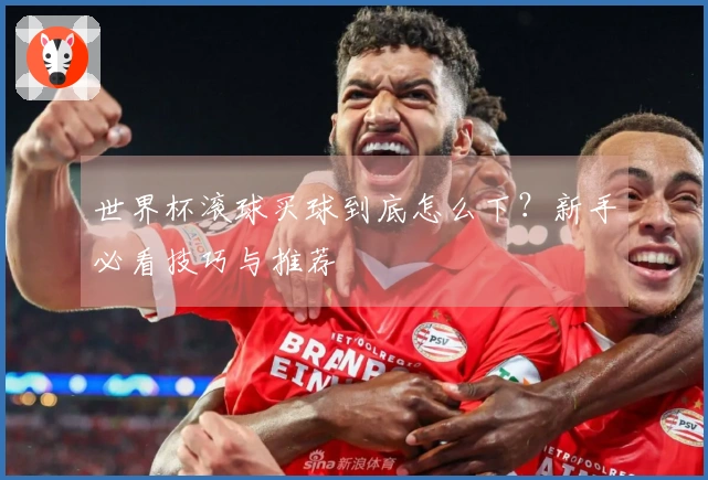 世界杯滚球买球到底怎么下？新手必看技巧与推荐