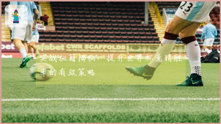 实战秘籍揭秘，提升世界杯竞猜胜率的有效策略