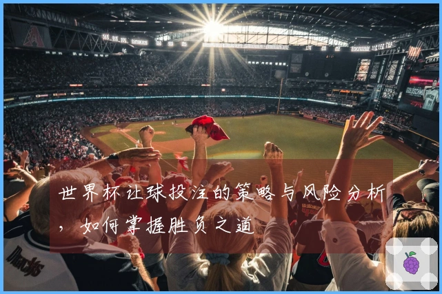世界杯让球投注的策略与风险分析，如何掌握胜负之道